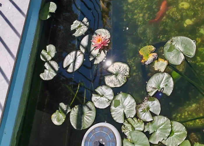 Vendégház Blue Lagoon Észak-Eforie